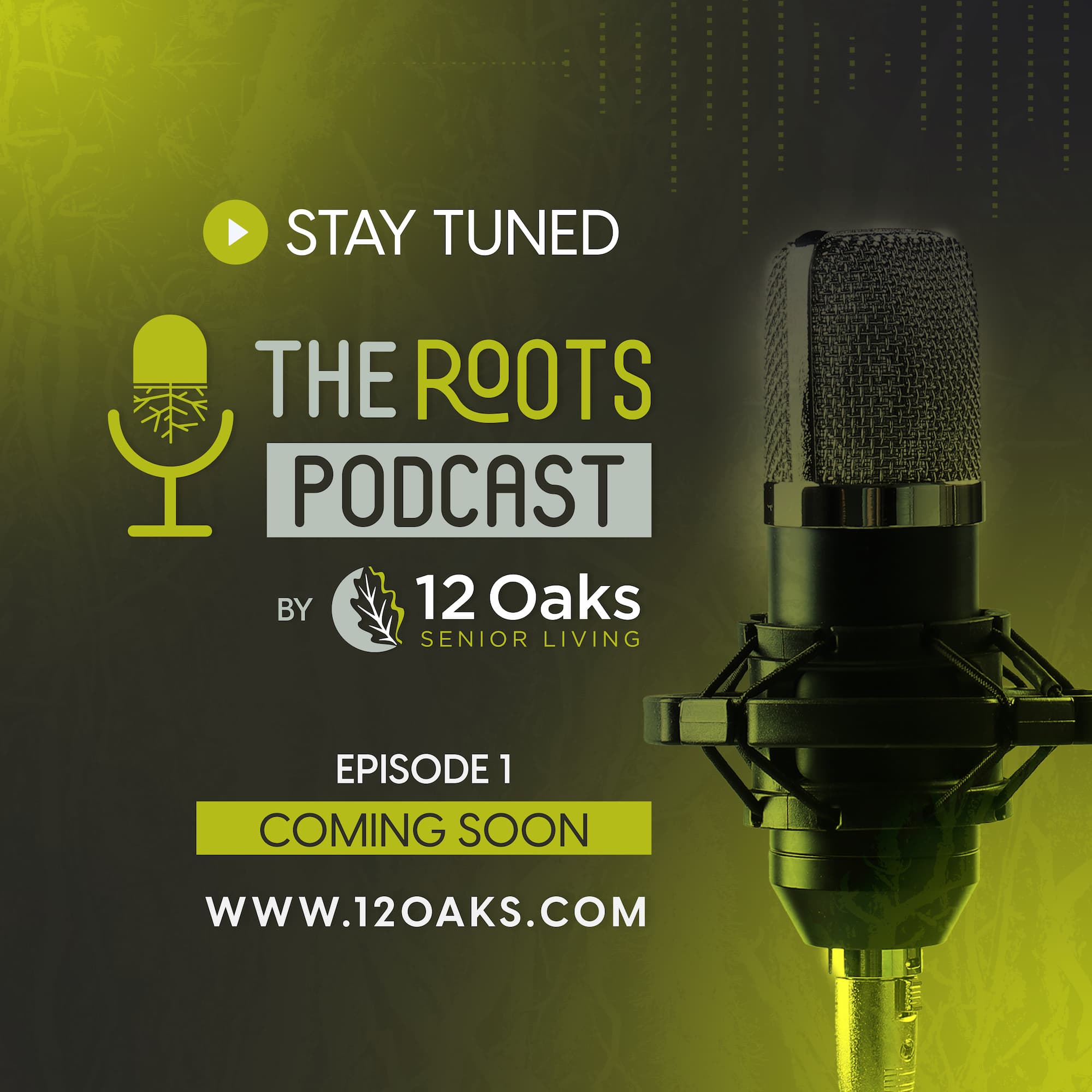 The Roots Podcast - coming soon!